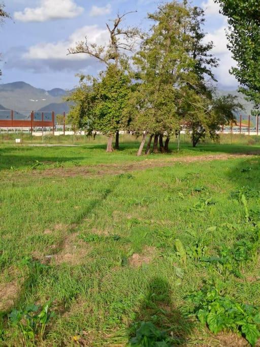 Appartamento Rossana - Luni Marinella di Sarzana Kültér fotó